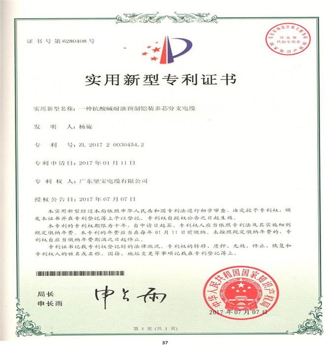 專(zhuān)利證書(shū)