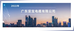 省團標專(zhuān)家審定會(huì )議在 廣東堅寶順利舉行